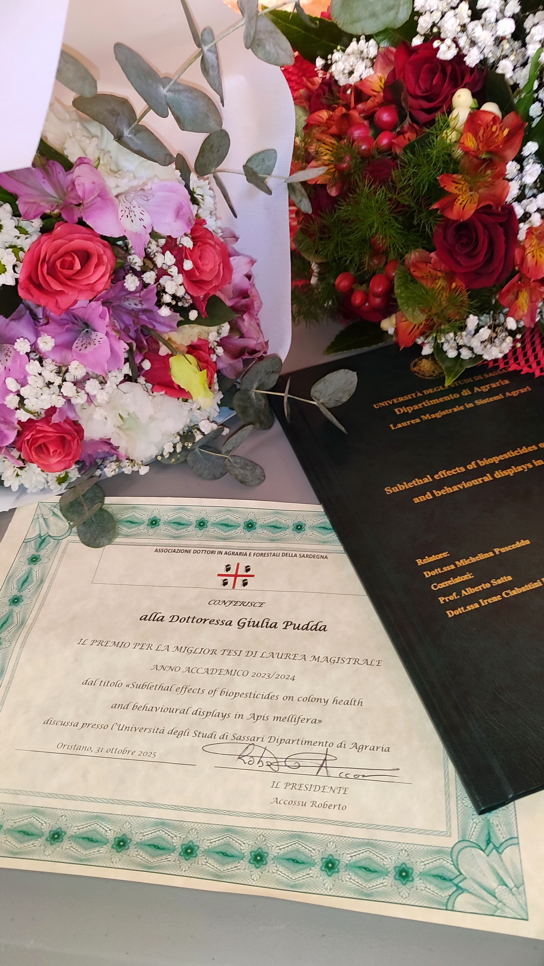 Premio miglior tesi 2025