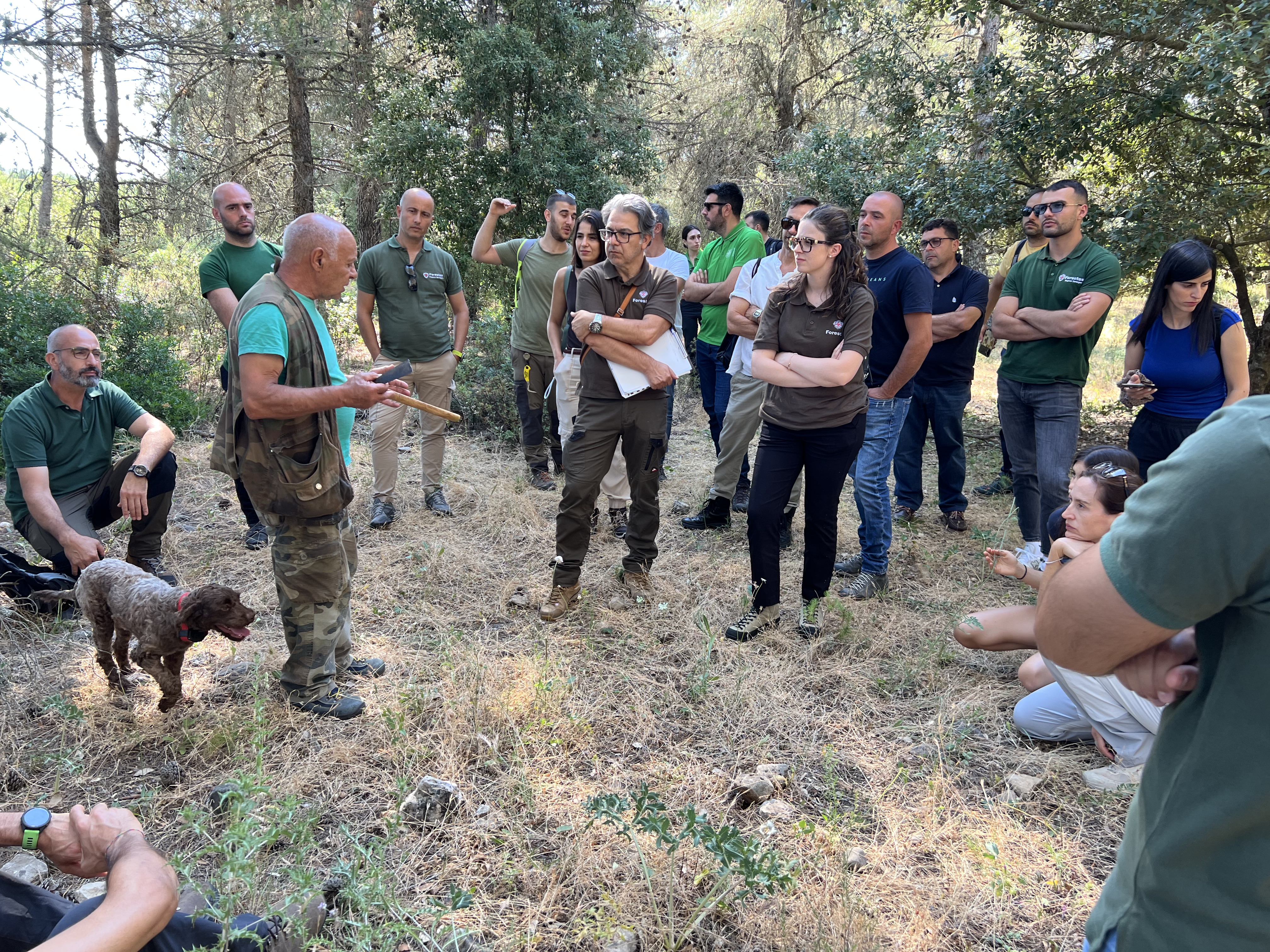 Formazione tartufo