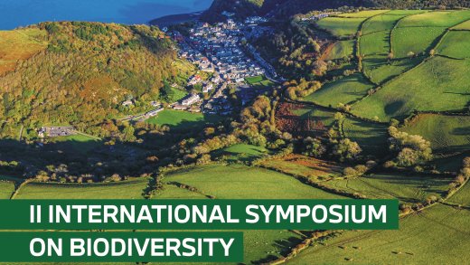 Locandina Simpsio NBFC 2025