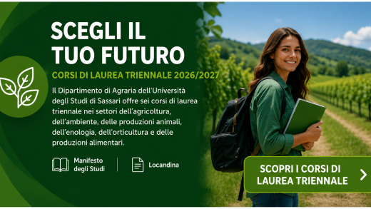 Corsi triennali 2026-2027
