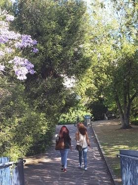 Scelgo Agraria perché