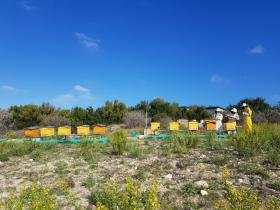 Centro Didattico-Sperimentale Apidologico Ottava