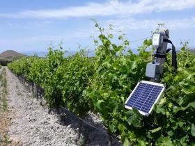 Agricoltura precisione