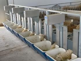 Stalla Didattica_Ottava