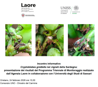 Locandina crypto 24 02 2026