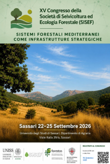 Locandina XV SISEF 2026